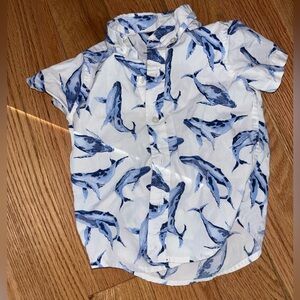 Janie and Jack short sleeve button down